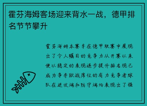 霍芬海姆客场迎来背水一战，德甲排名节节攀升